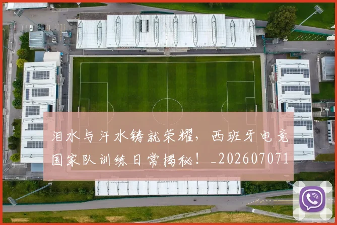 泪水与汗水铸就荣耀,西班牙电竞国家队训练日常揭秘!_20260707154212_20260801173612